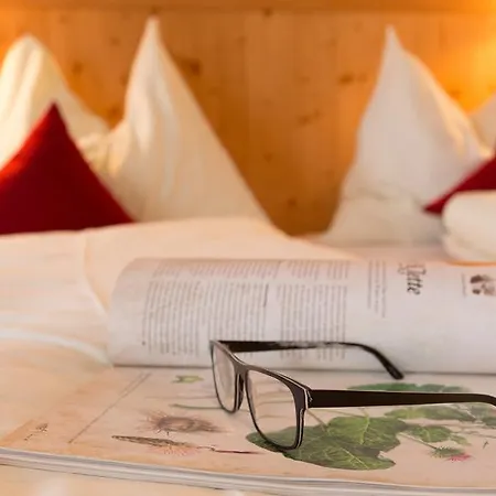 Gasthuis Steiermark Schladming