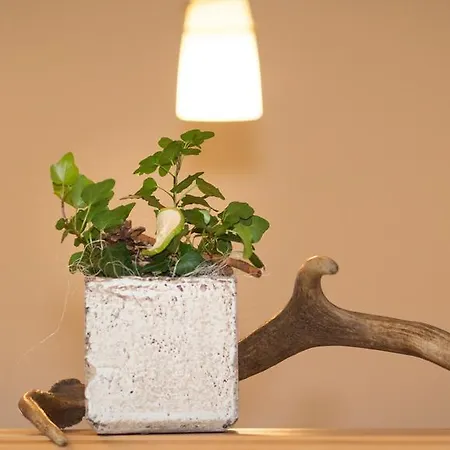 Steiermark 3* שלאדמינג