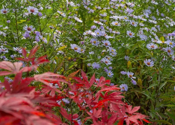 ペンション シュティエールマルク 3*