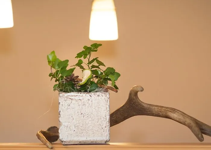 ペンション シュティエールマルク 3* シュラートミンク